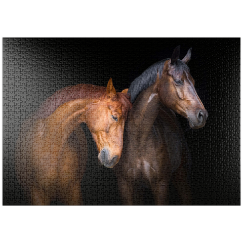 puzzleplate Zwei Pferde in Nahaufnahme isoliert auf schwarzem Hintergrund 1000 Puzzle