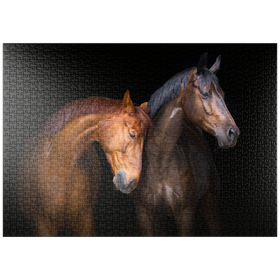 Darstellung des Puzzle Motivs Zwei Pferde vor schwarzem Hintergrund - Puzzleteile: 1000