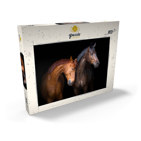 Zwei Pferde in Nahaufnahme isoliert auf schwarzem Hintergrund 100 Puzzle Schachtel Ansicht2