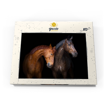 Zwei Pferde in Nahaufnahme isoliert auf schwarzem Hintergrund 100 Puzzle Schachtel Ansicht3