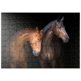 Darstellung des Puzzle-Motivs Zwei Pferde vor schwarzem Hintergrund – Puzzleteile: 100