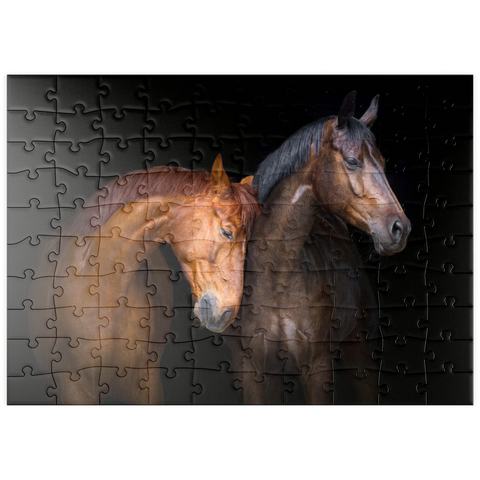 puzzleplate Zwei Pferde in Nahaufnahme isoliert auf schwarzem Hintergrund 100 Puzzle