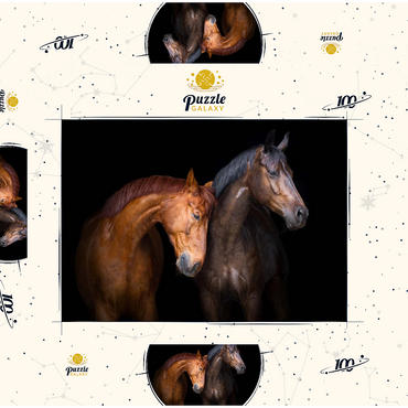 Zwei Pferde in Nahaufnahme isoliert auf schwarzem Hintergrund 100 Puzzle Schachtel 3D Modell