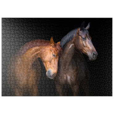 puzzleplate Zwei Pferde in Nahaufnahme isoliert auf schwarzem Hintergrund 500 Puzzle