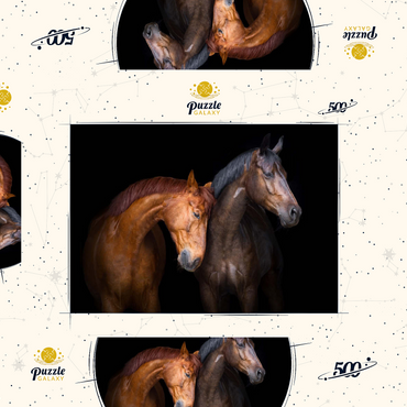 Zwei Pferde in Nahaufnahme isoliert auf schwarzem Hintergrund 500 Puzzle Schachtel 3D Modell