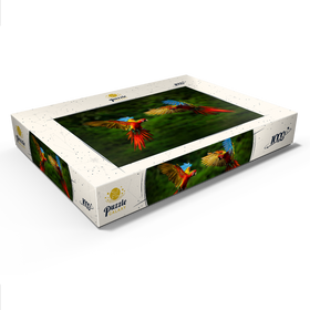Alternative Darstellung des Puzzle-Motivs Papageien im Wald, Papagei fliegt vor dunkelgrüner Vegetation – Puzzleteile: 1000