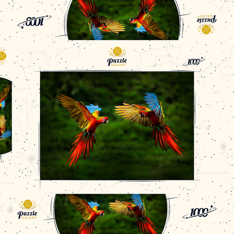 Papageien im Wald, Papagei fliegt in dunkelgrüner Vegetation 1000 Puzzle Schachtel 3D Modell