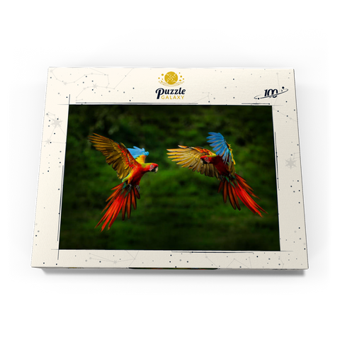 Papageien im Wald, Papagei fliegt in dunkelgrüner Vegetation 100 Puzzle Schachtel Ansicht3
