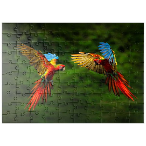 puzzleplate Papageien im Wald, Papagei fliegt in dunkelgrüner Vegetation 100 Puzzle