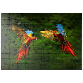 Darstellung des Puzzle Motivs Papageien im Wald, Papagei fliegt vor dunkelgrüner Vegetation - Puzzleteile: 100
