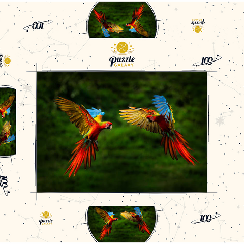 Papageien im Wald, Papagei fliegt in dunkelgrüner Vegetation 100 Puzzle Schachtel 3D Modell