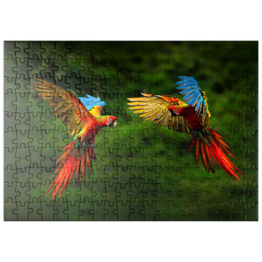 puzzleplate Papageien im Wald, Papagei fliegt in dunkelgrüner Vegetation 200 Puzzle