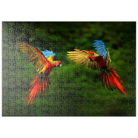 Darstellung des Puzzle Motivs Papageien im Wald, Papagei fliegt vor dunkelgrüner Vegetation - Puzzleteile: 200