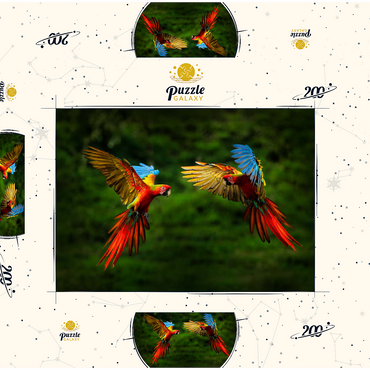 Papageien im Wald, Papagei fliegt in dunkelgrüner Vegetation 200 Puzzle Schachtel 3D Modell