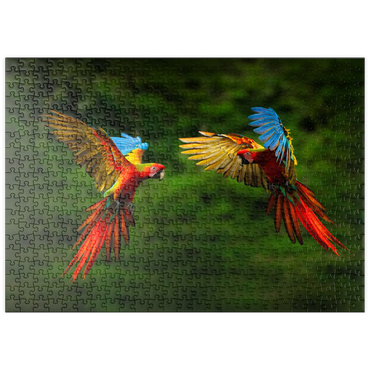 puzzleplate Papageien im Wald, Papagei fliegt in dunkelgrüner Vegetation 500 Puzzle