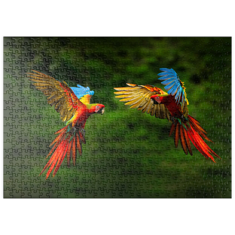 puzzleplate Papageien im Wald, Papagei fliegt in dunkelgrüner Vegetation 500 Puzzle