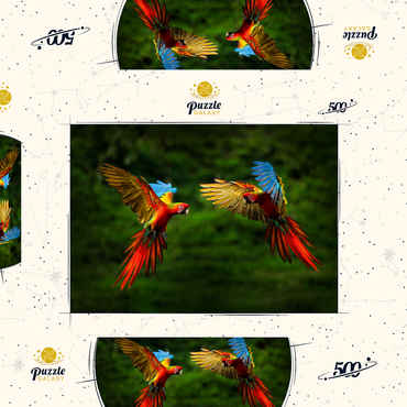 Papageien im Wald, Papagei fliegt in dunkelgrüner Vegetation 500 Puzzle Schachtel 3D Modell