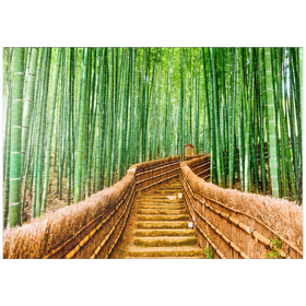 Darstellung des Puzzle Motivs Kyoto, Japan im Bambuswald - Puzzleteile: 1000