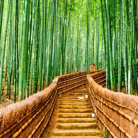 Kyoto, Japan im Bambuswald 100 Puzzle 3D Modell