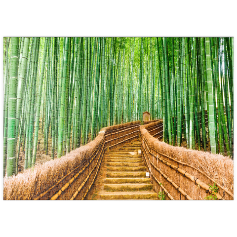 puzzleplate Kyoto, Japan im Bambuswald 500 Puzzle