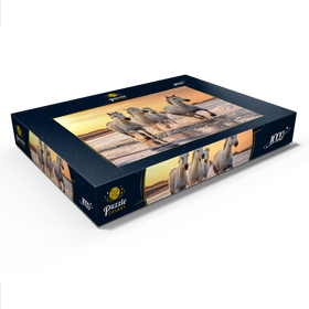 Darstellung des Puzzle Motivs Weiße Camargue Pferde galoppieren am Strand, Frankreich - Puzzleteile: 1000