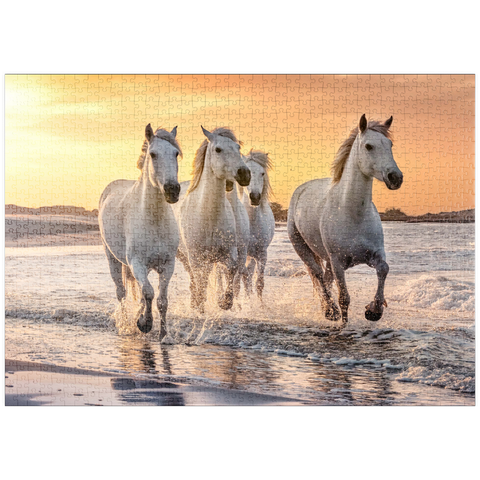 puzzleplate Weiße Camargue Pferde galoppieren am Strand, Frankreich 1000 Puzzle