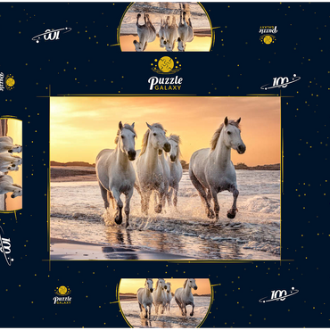 Weiße Camargue Pferde galoppieren am Strand, Frankreich 100 Puzzle Schachtel 3D Modell