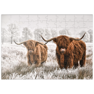 puzzleplate Behaarte schottische Hochlandrinder in einer Winterlandschaft 100 Puzzle