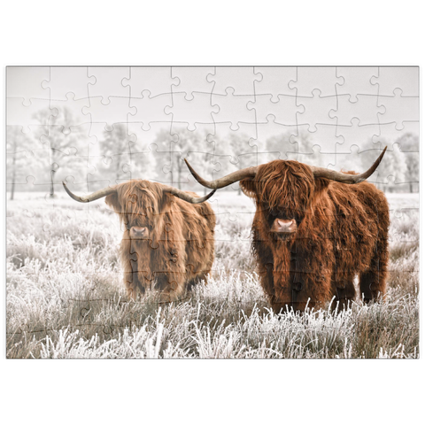 puzzleplate Behaarte schottische Hochlandrinder in einer Winterlandschaft 100 Puzzle