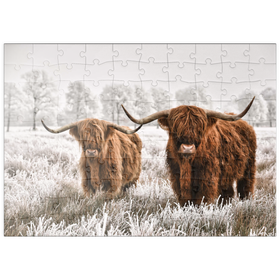 Darstellung des Puzzle Motivs Behaarte schottische Hochlandrinder in einer Winterlandschaft - Puzzleteile: 100