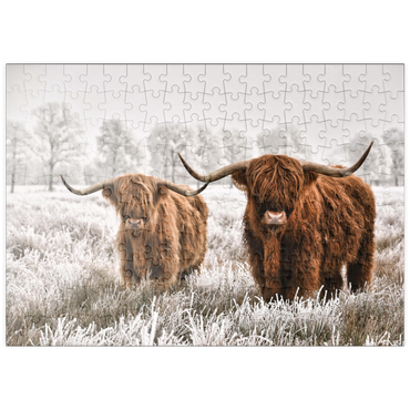 puzzleplate Behaarte schottische Hochlandrinder in einer Winterlandschaft 200 Puzzle