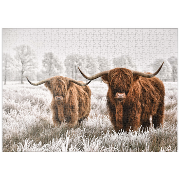 puzzleplate Behaarte schottische Hochlandrinder in einer Winterlandschaft 500 Puzzle
