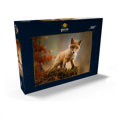 Ein junger neugieriger Fuchs im Wald 1000 Puzzle Schachtel Ansicht2