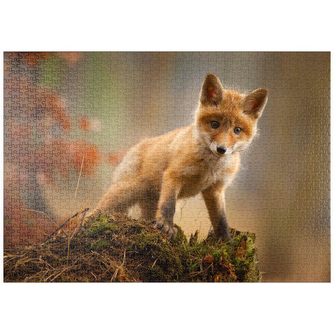 puzzleplate Ein junger neugieriger Fuchs im Wald 1000 Puzzle