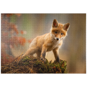Darstellung des Puzzle Motivs Ein junger, neugieriger Fuchs im Wald - Puzzleteile: 1000