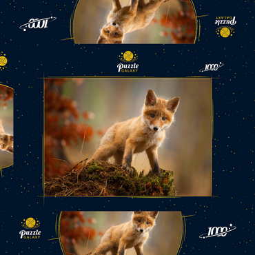 Ein junger neugieriger Fuchs im Wald 1000 Puzzle Schachtel 3D Modell