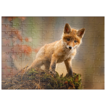 puzzleplate Ein junger neugieriger Fuchs im Wald 100 Puzzle