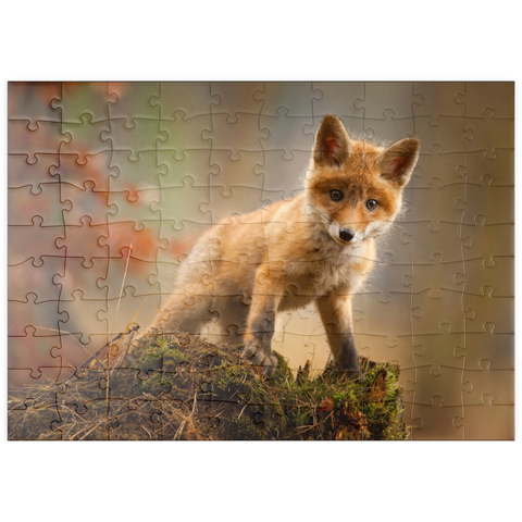 puzzleplate Ein junger neugieriger Fuchs im Wald 100 Puzzle