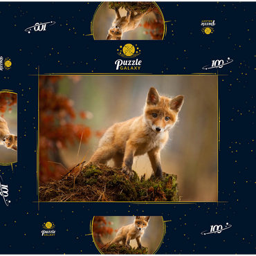 Ein junger neugieriger Fuchs im Wald 100 Puzzle Schachtel 3D Modell