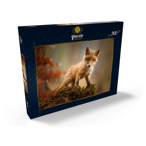 Ein junger neugieriger Fuchs im Wald 200 Puzzle Schachtel Ansicht2