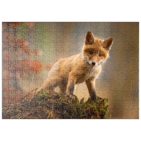 puzzleplate Ein junger neugieriger Fuchs im Wald 200 Puzzle