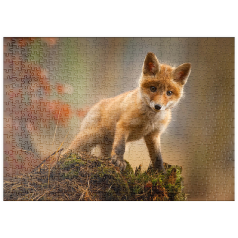 puzzleplate Ein junger neugieriger Fuchs im Wald 500 Puzzle