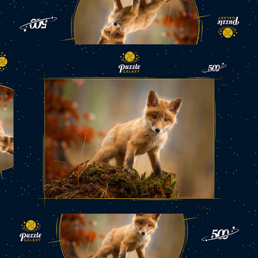 Ein junger neugieriger Fuchs im Wald 500 Puzzle Schachtel 3D Modell