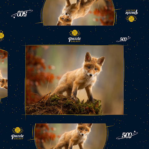 Ein junger neugieriger Fuchs im Wald 500 Puzzle Schachtel 3D Modell