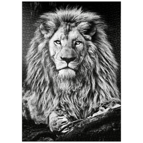 Darstellung des Puzzle-Motivs Schwarz-Weiß-Bild eines Majestätischen Löwen – Puzzleteile: 1000