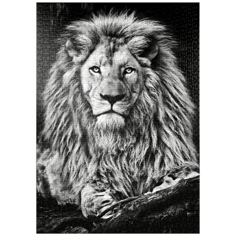 puzzleplate Schwarz-Weiß-Bild eines Majestätischen Löwen 1000 Puzzle