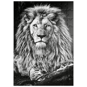 Darstellung des Puzzle-Motivs Schwarz-Weiß-Bild eines Majestätischen Löwen – Puzzleteile: 100