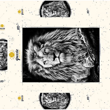 Schwarz-Weiß-Bild eines Majestätischen Löwen 100 Puzzle Schachtel 3D Modell