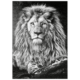Darstellung des Puzzle-Motivs Schwarz-Weiß-Bild eines Majestätischen Löwen – Puzzleteile: 200