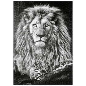 Darstellung des Puzzle-Motivs Schwarz-Weiß-Bild eines Majestätischen Löwen – Puzzleteile: 500